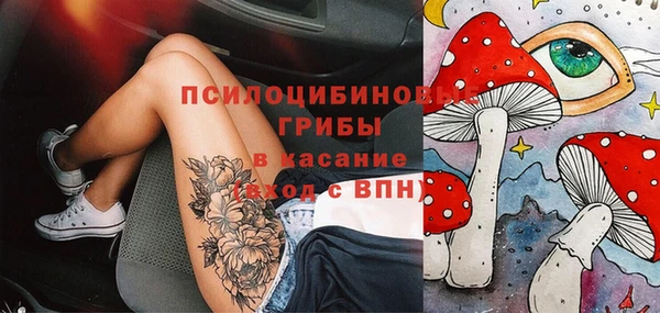 амф Алексин