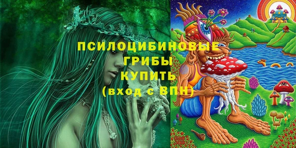 амф Алексин