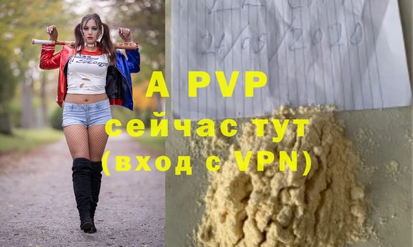 амф Алексин