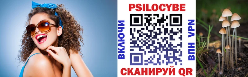 закладки  Новосиль  Галлюциногенные грибы GOLDEN TEACHER 